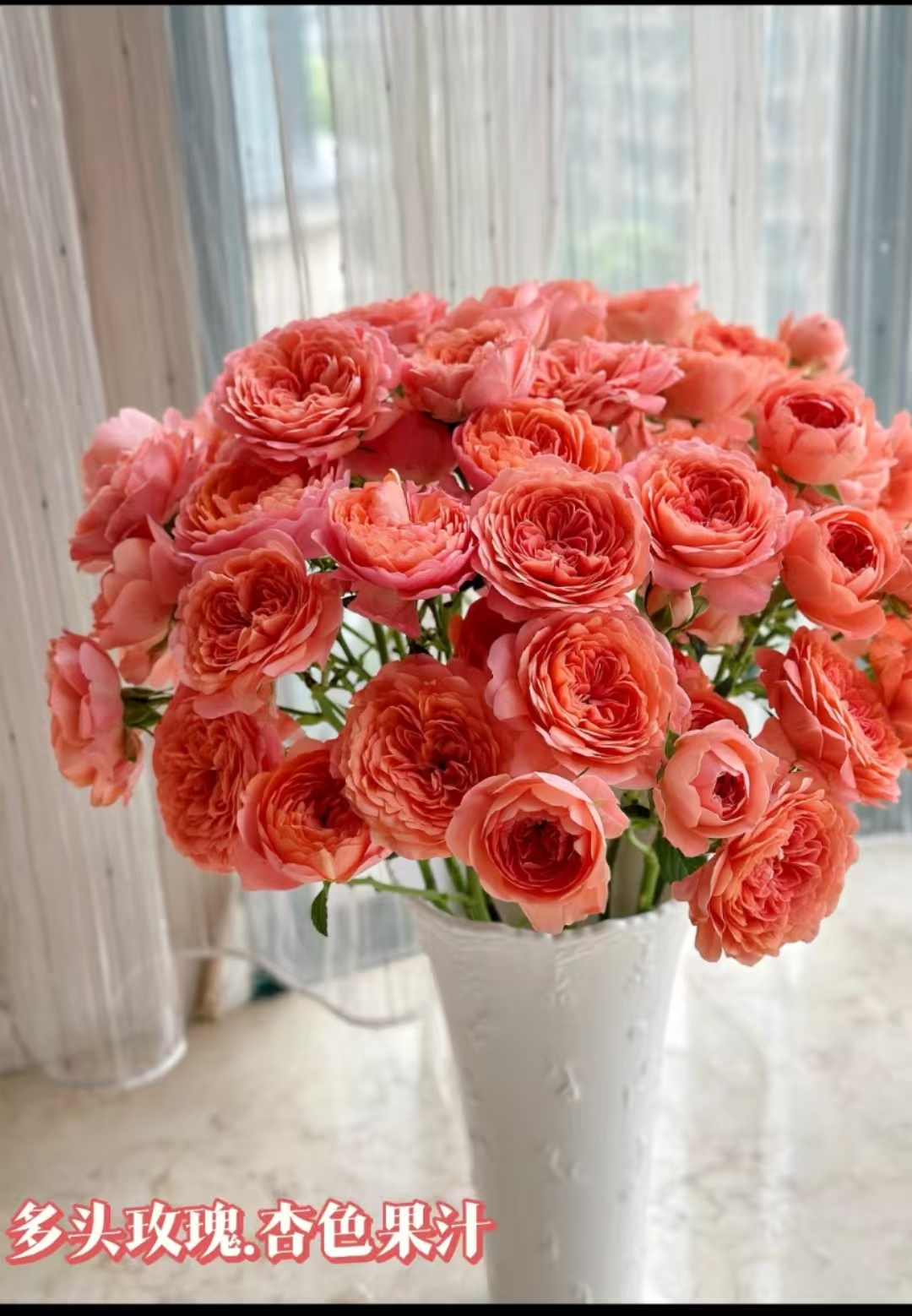 【牛牛甄选】杏色果汁多头玫瑰云南基地现采现发  一单也包邮包售后