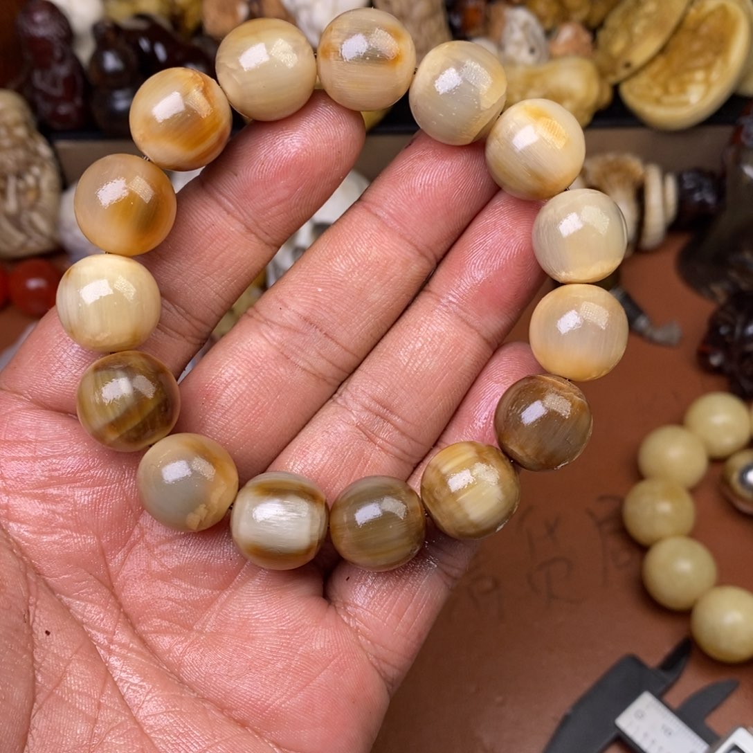 其他驼骨人工样子