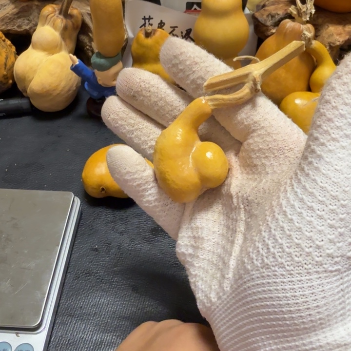 W***s66………………………………………………