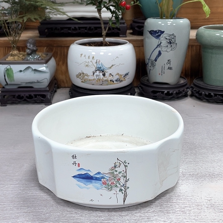 陶瓷花盆紫砂花盆抢购福利