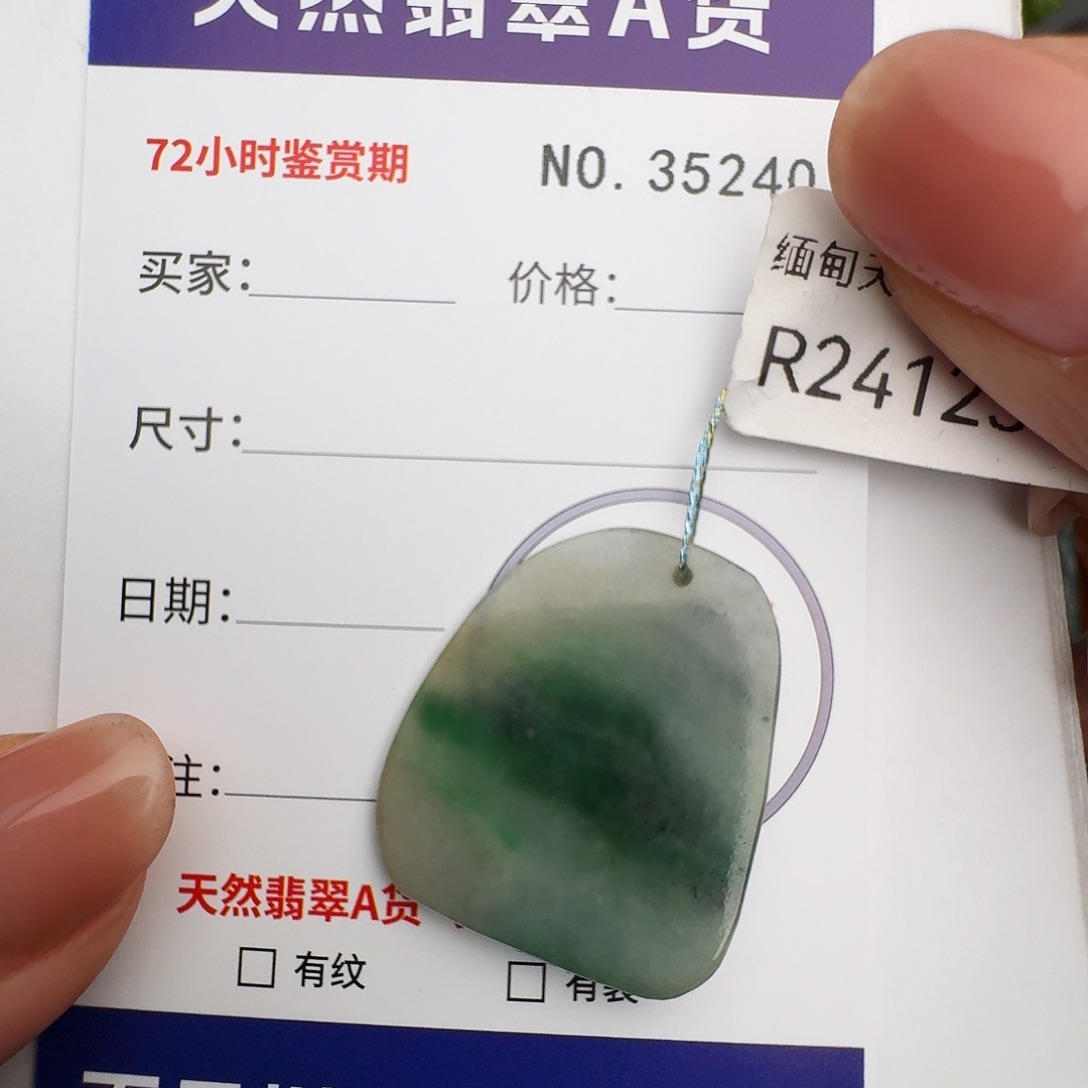 翡翠未镶嵌颈饰原石35240