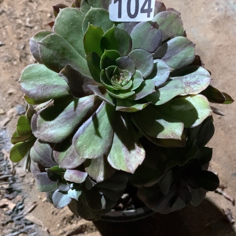 104满十八包邮偏远勿拍