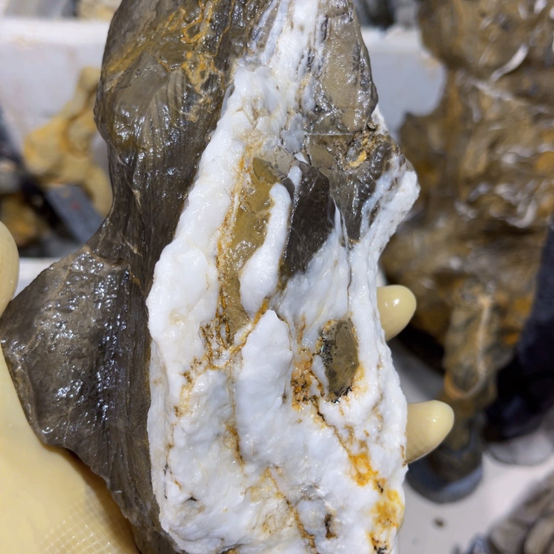 稀*附石盆景一物一拍