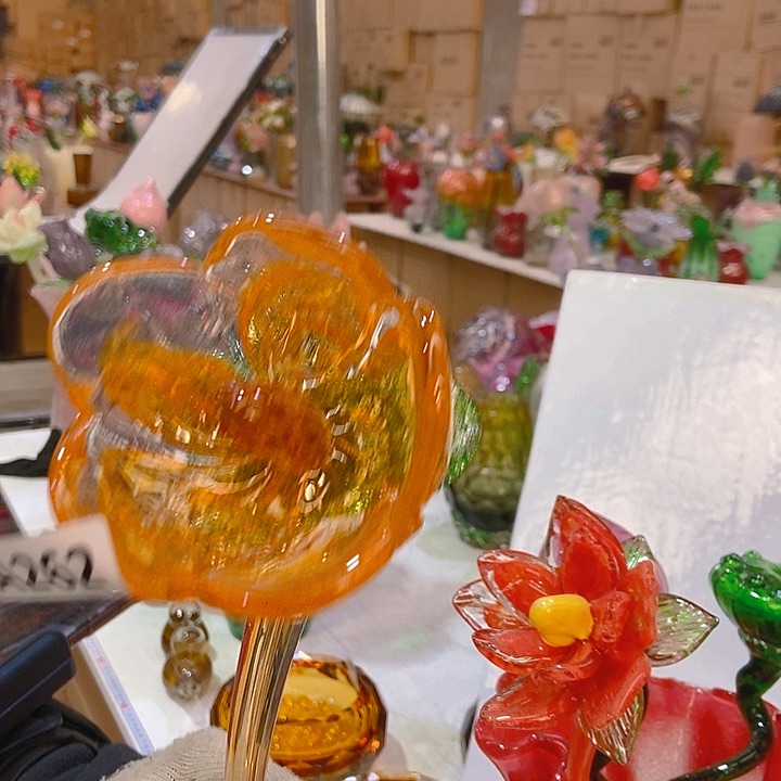 琉璃琉璃花高45口9