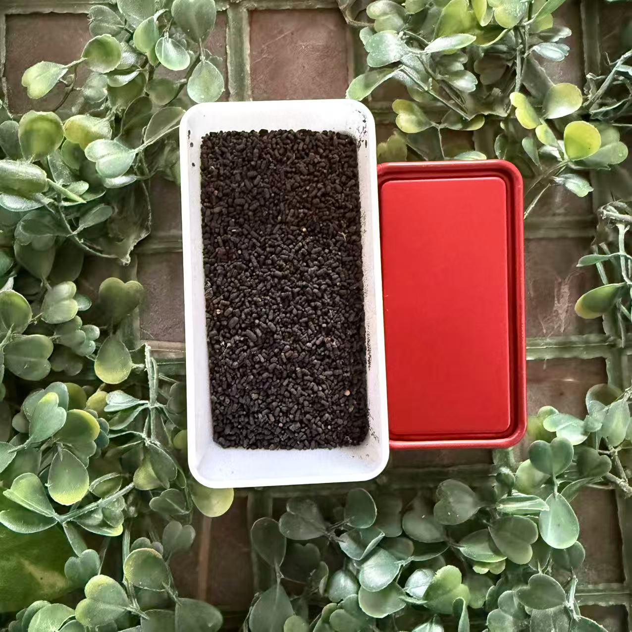 雨腾古茶 ”万B 特T 海Y河Q"J世核J能30g/罐（12月1) 