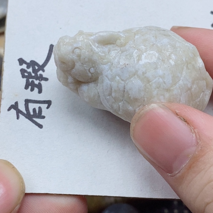颈饰未镶嵌硅化珊瑚（珊瑚玉）