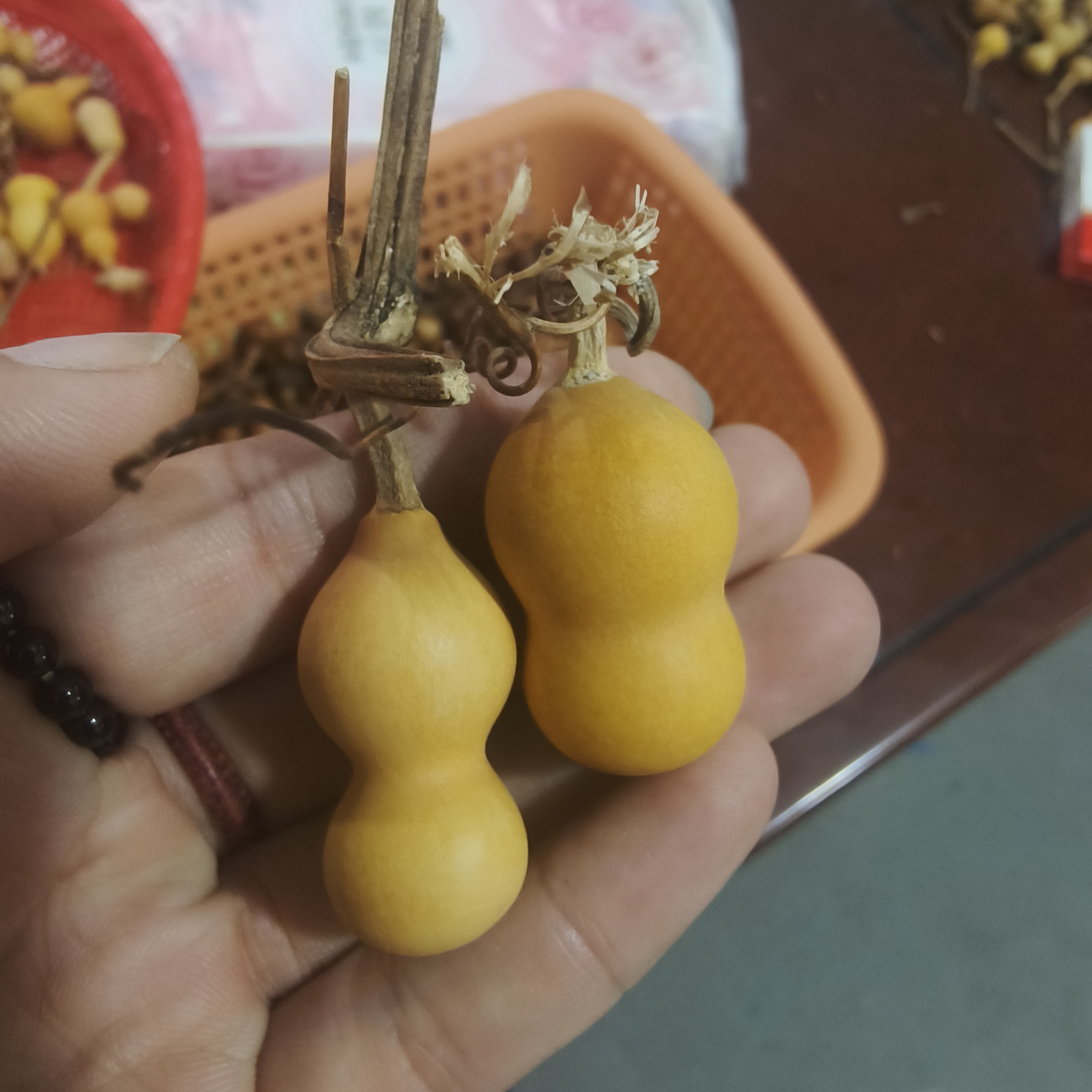 小美葫芦通货专用链接（直播间专用，不退不换）