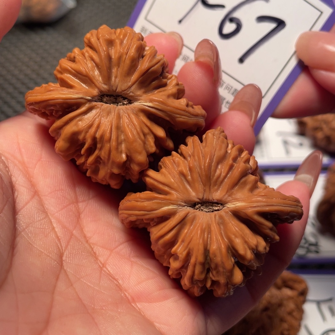 文玩核桃把件67号楼子45