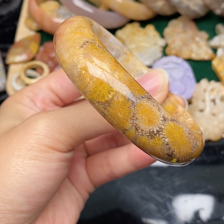 硅化珊瑚（珊瑚玉）手镯未镶嵌61