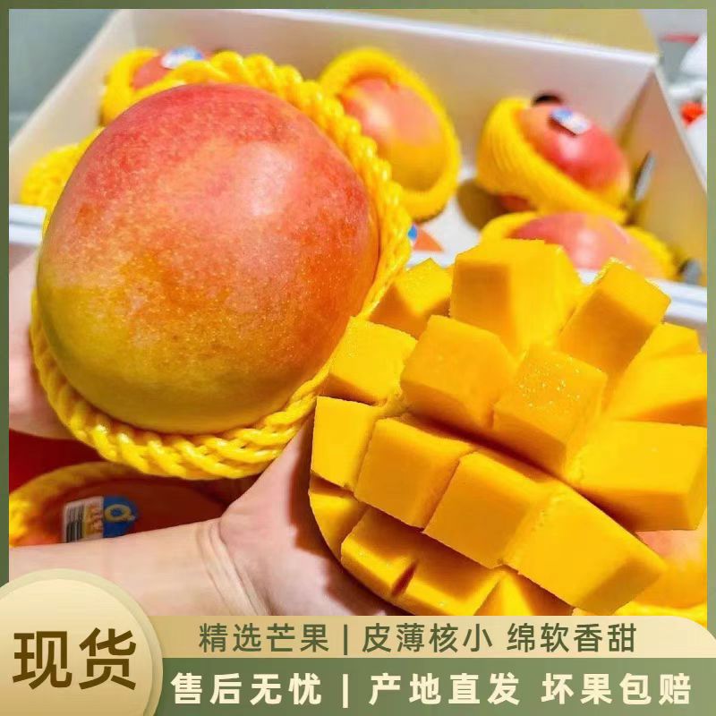 【放软后食用】新鲜采摘苹果芒带箱10斤装 坏果包赔