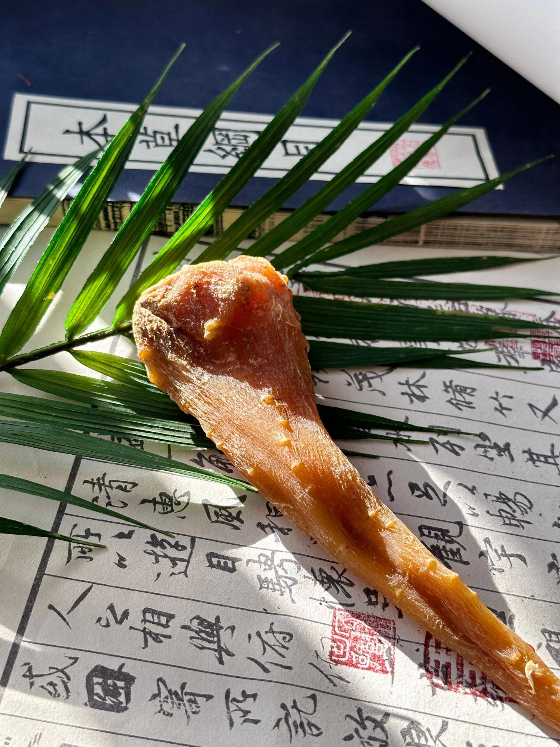 【开心专属】农家高海拔藏雪参500g