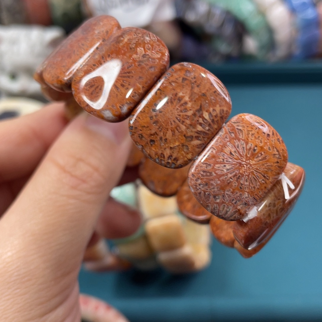 未镶嵌手镯硅化玉