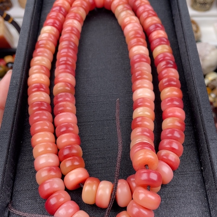 驼骨其他骆驼骨直切12/108