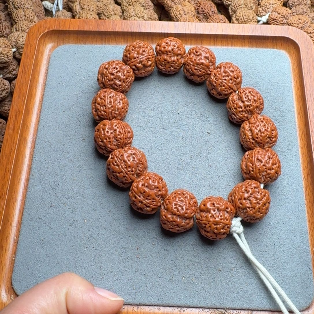 菩提菩提10号尼泊尔大金刚22爆肉梁