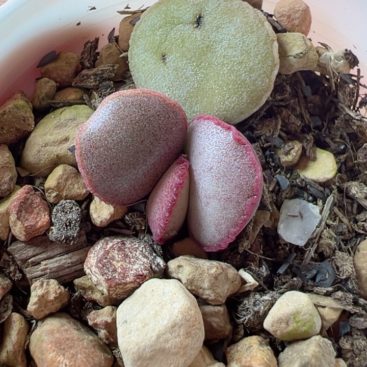 嗯半句不对劲我还能咋