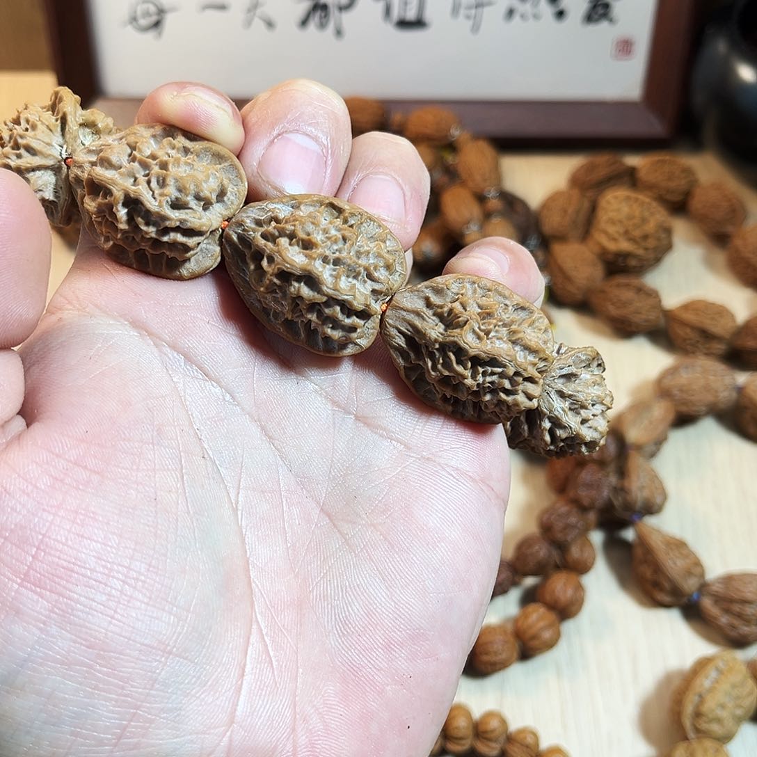 承*秦岭野生闷10颗籽2.6精卡全品