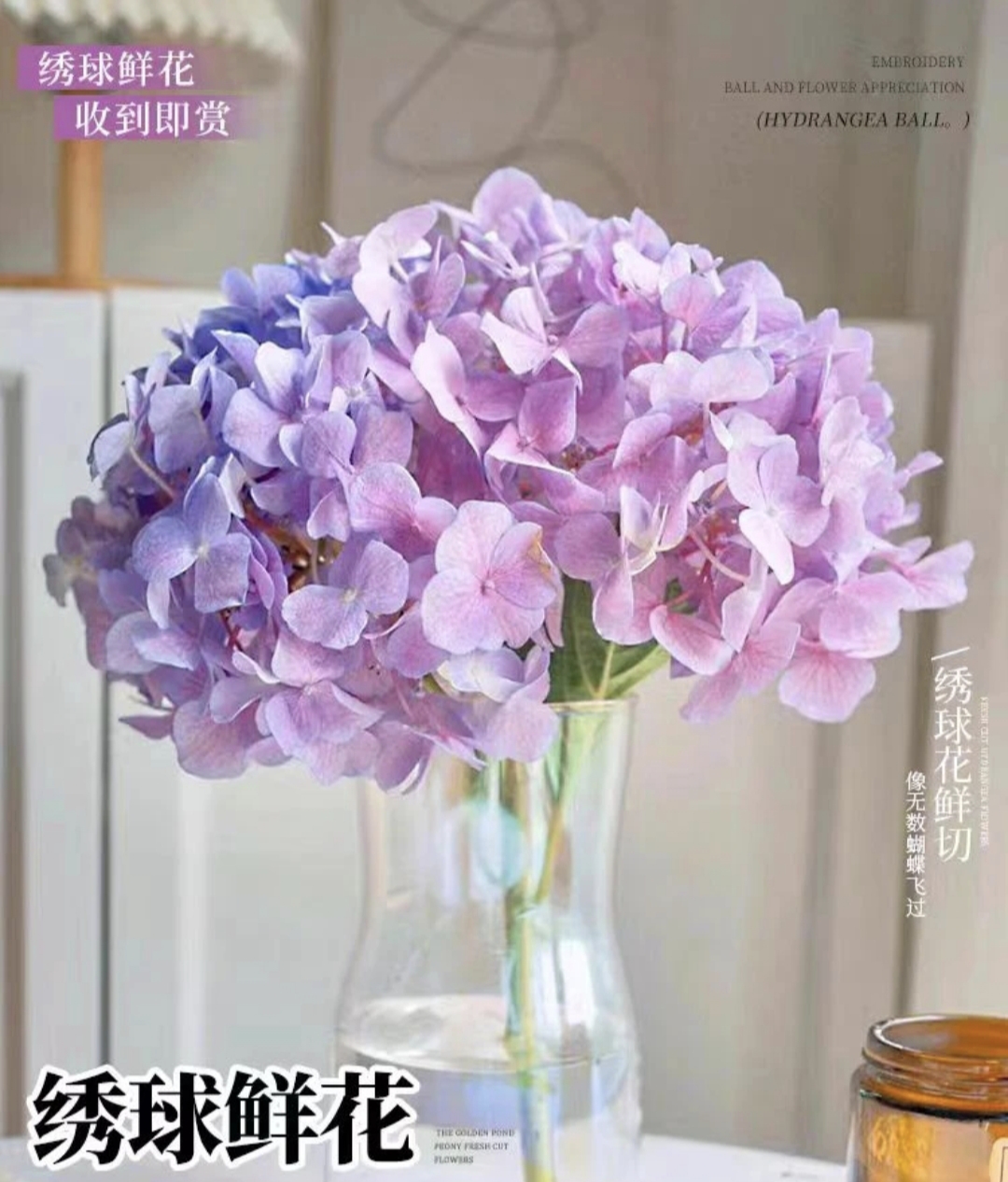 绣球花鲜花云南基地直发家庭办公室水培易养活插瓶鲜花清新懒人花