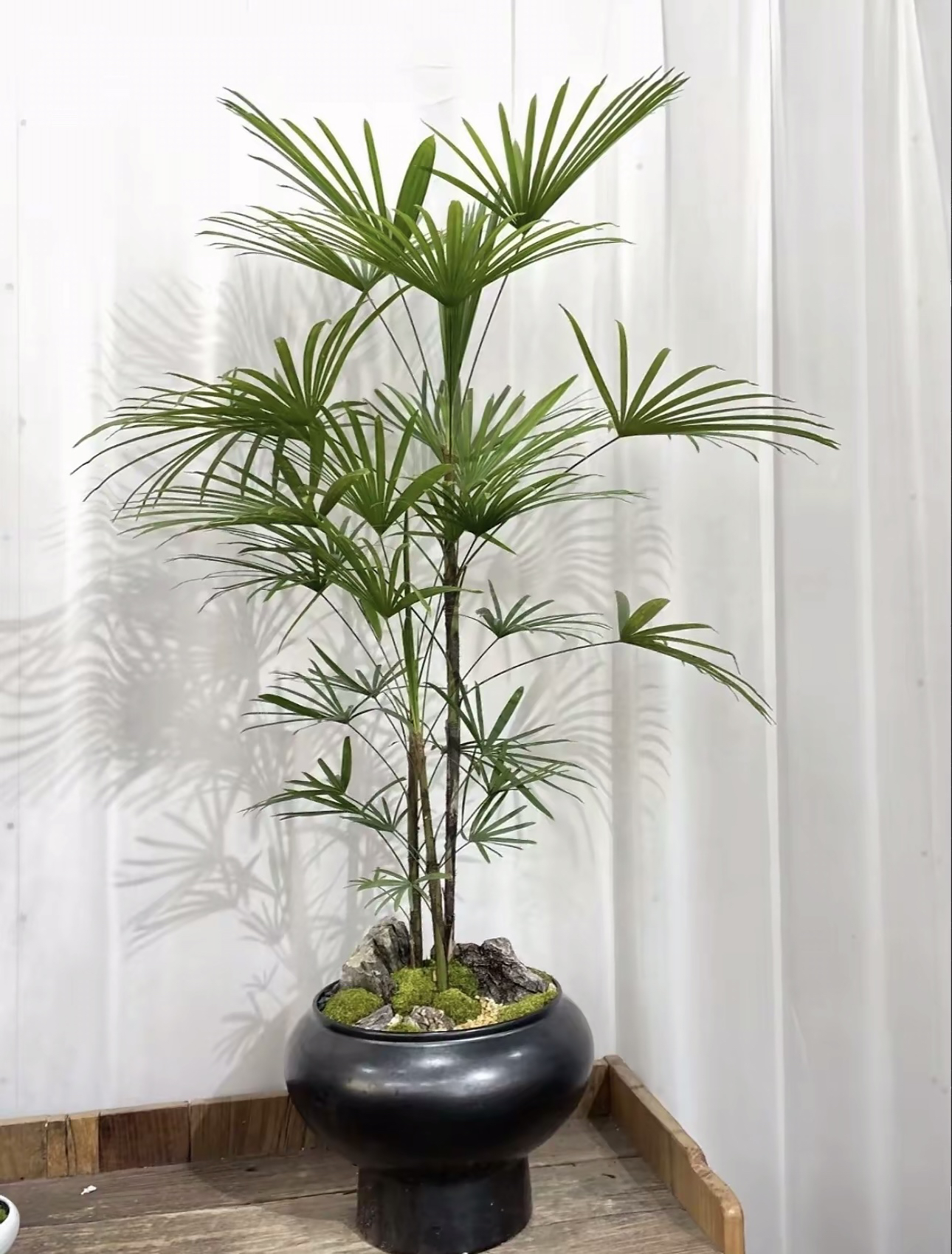 细叶金山棕竹大型绿植盆栽办公室客厅落地摆放四季易养