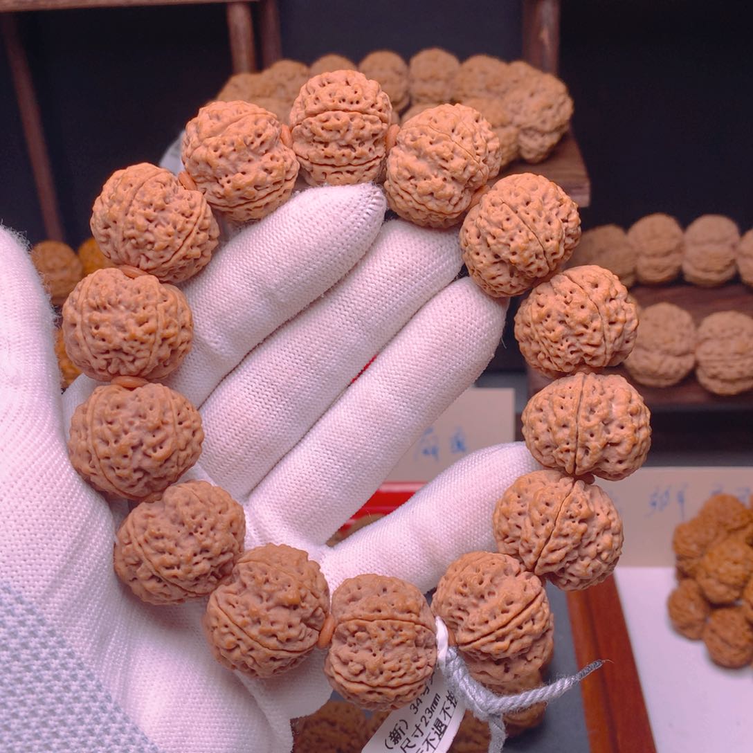 金刚菩提手串金刚菩提霸王龙