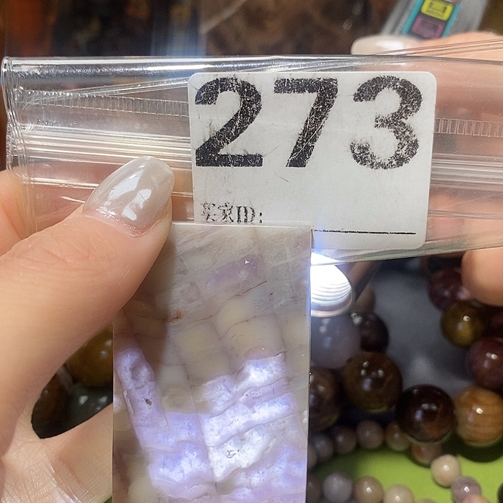 硅化玉未镶嵌天然北票树化玉吊坠