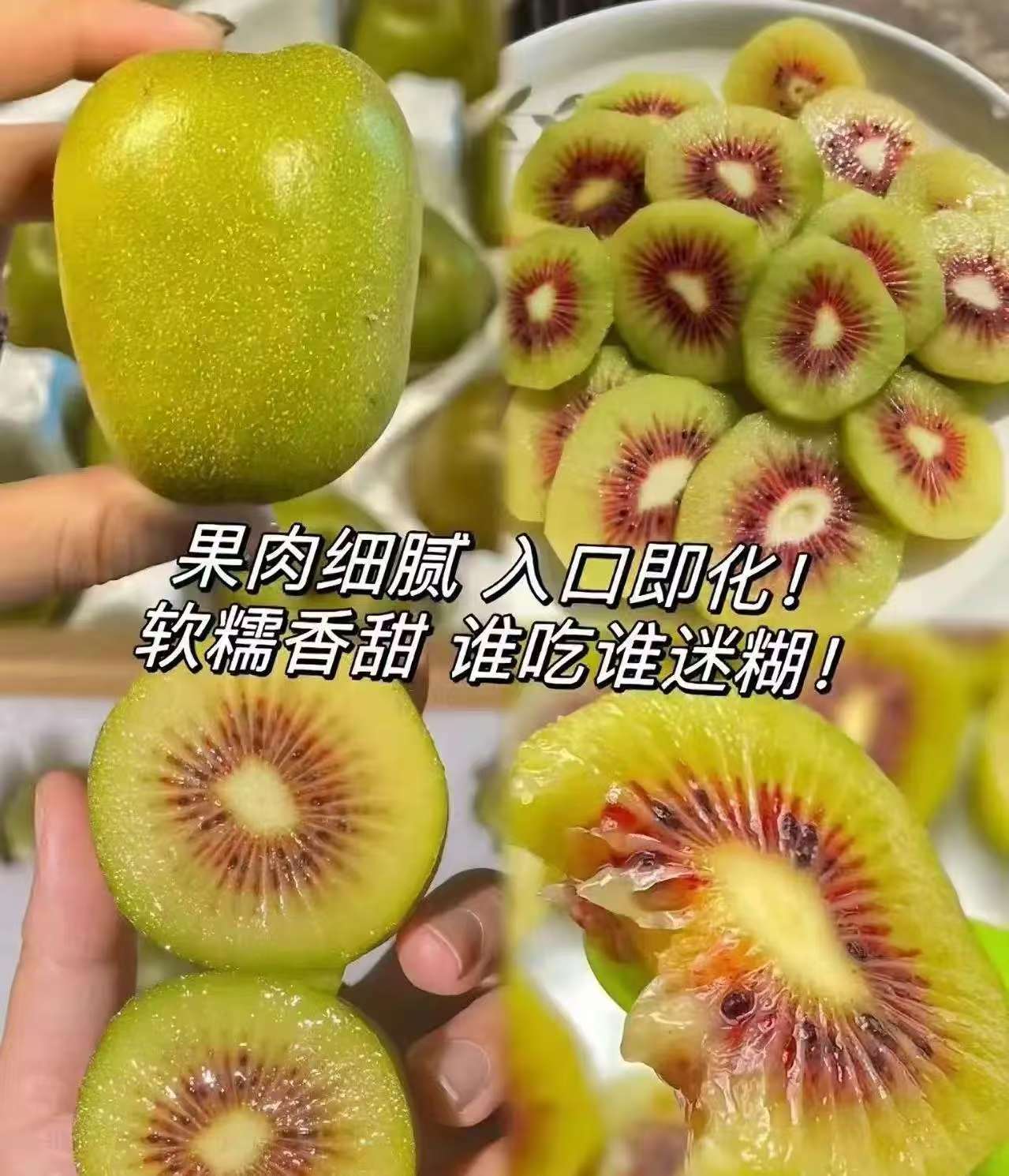 大果正宗贵州水城红心猕猴桃80-99g奇异果高山当季水果现摘现发