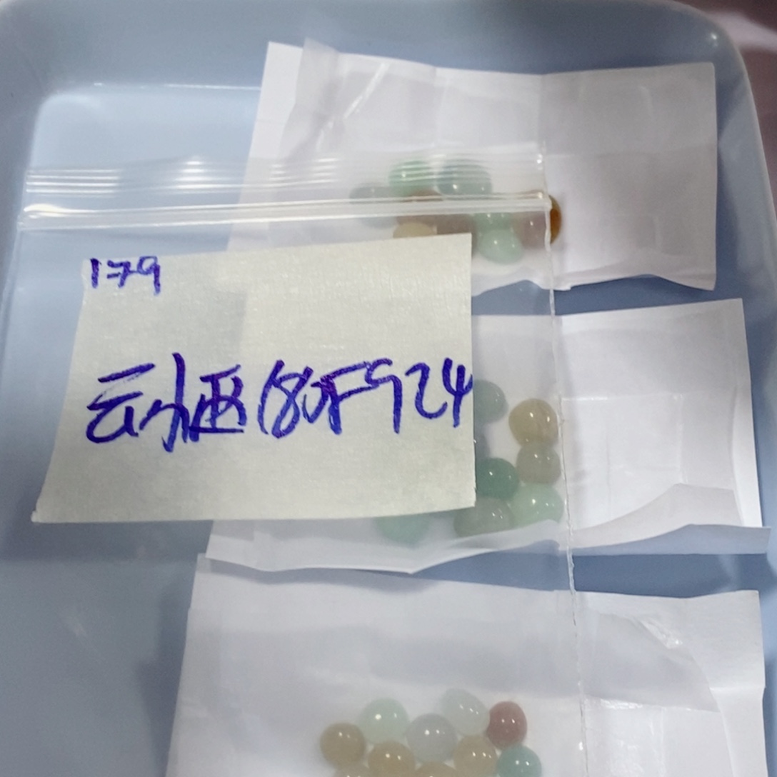 云***西未镶嵌定制翡翠不