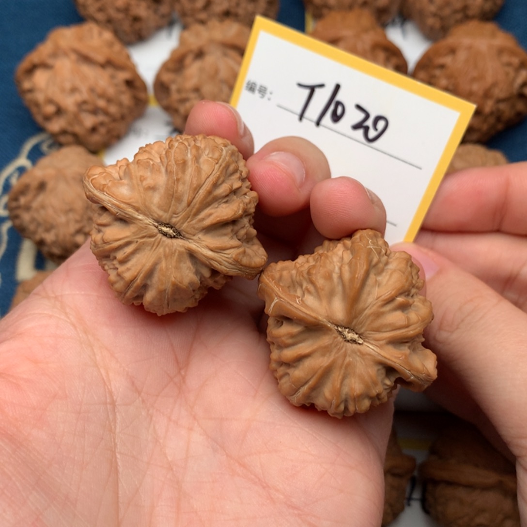 文玩核桃把件37白狮子 1020