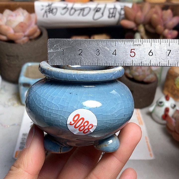 红陶拍5送一个小