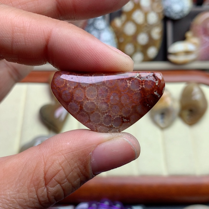 硅化珊瑚（珊瑚玉）颈饰未镶嵌