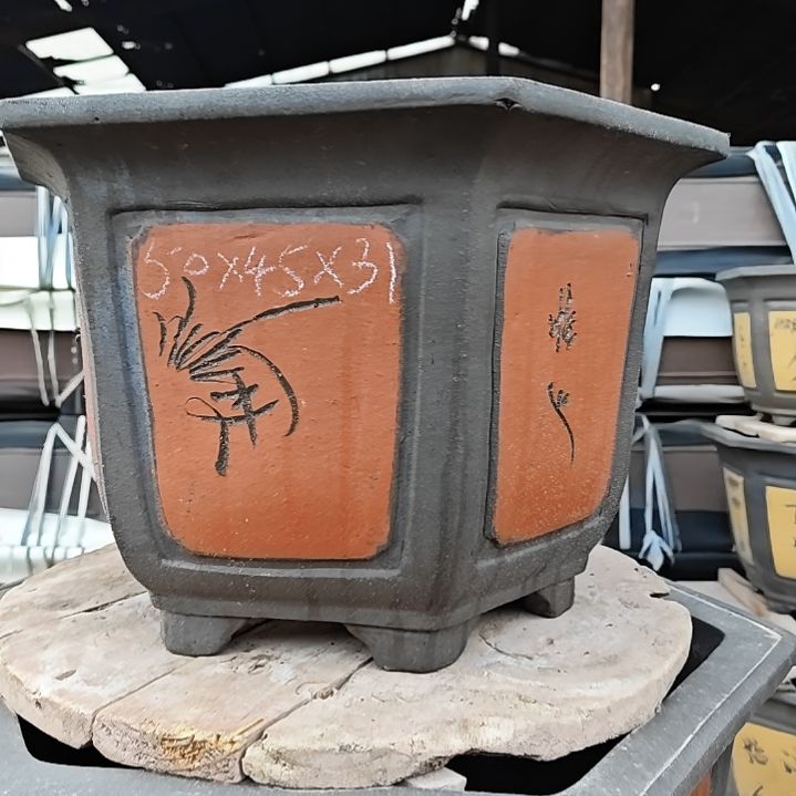 来***叶50㐅45X31红的六方1只