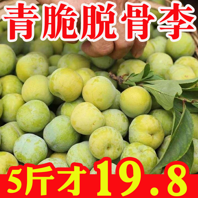  正宗四川贵州青脆脱骨李新鲜应季水果重庆贵州脱骨李多仓发货