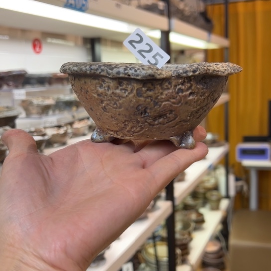 红陶10.5x4.5/225////