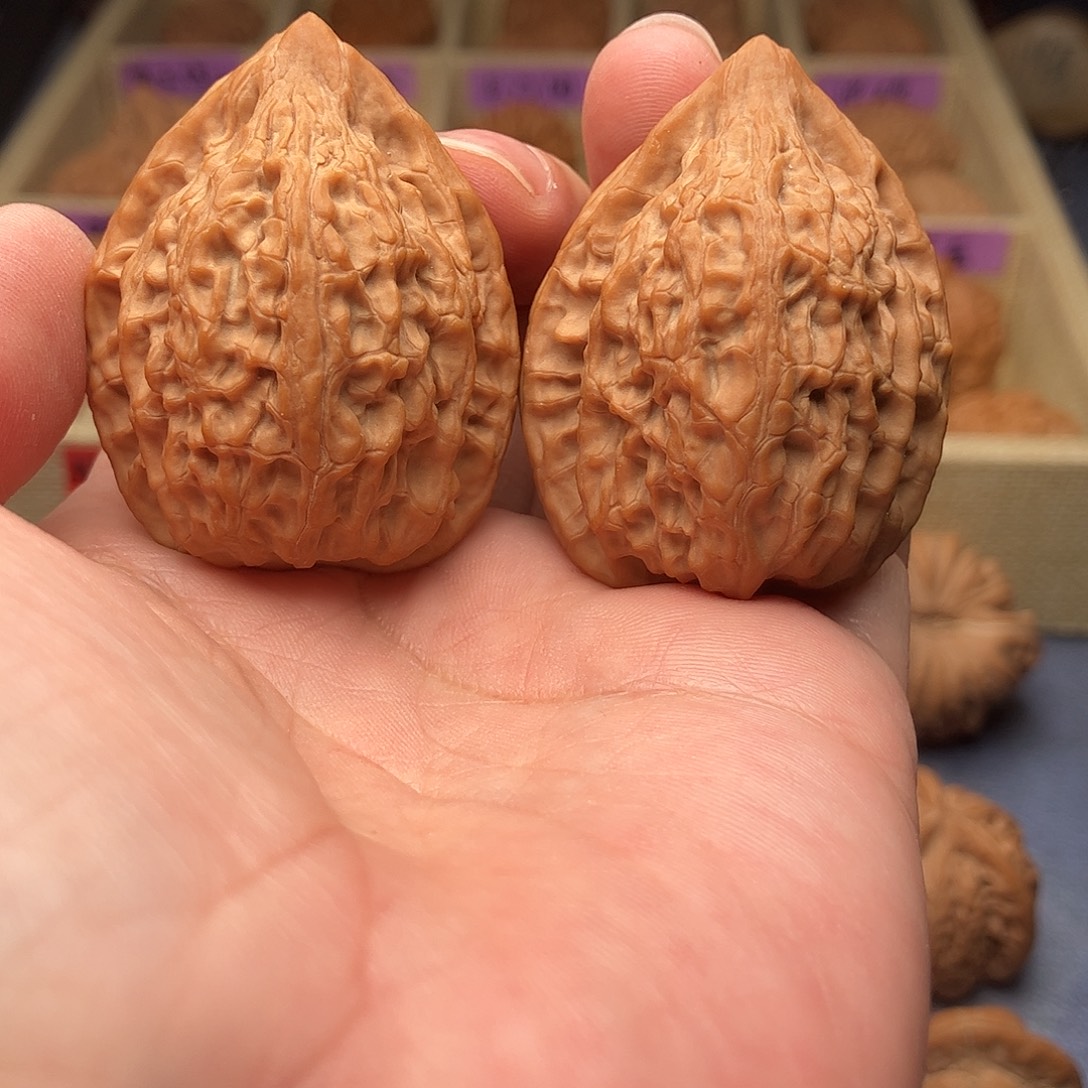 把件文玩核桃吸血鬼 长治鸡心37（头货精品