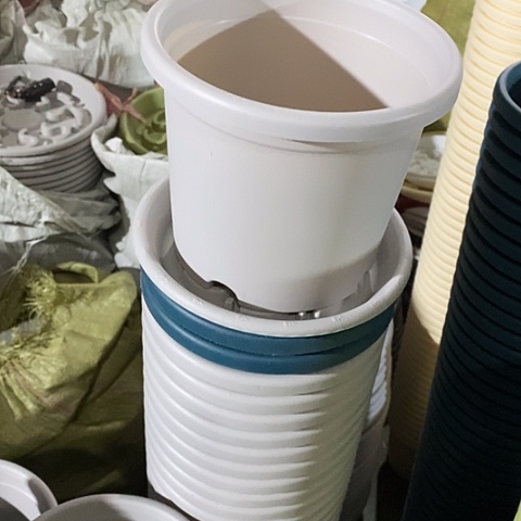 树脂四季2号6个带托灰白