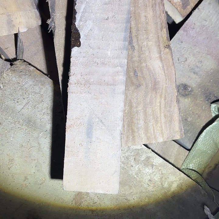 金丝楠啊啊啊啊啊啊啊