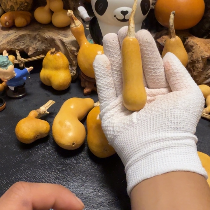 一***布66……………………………………