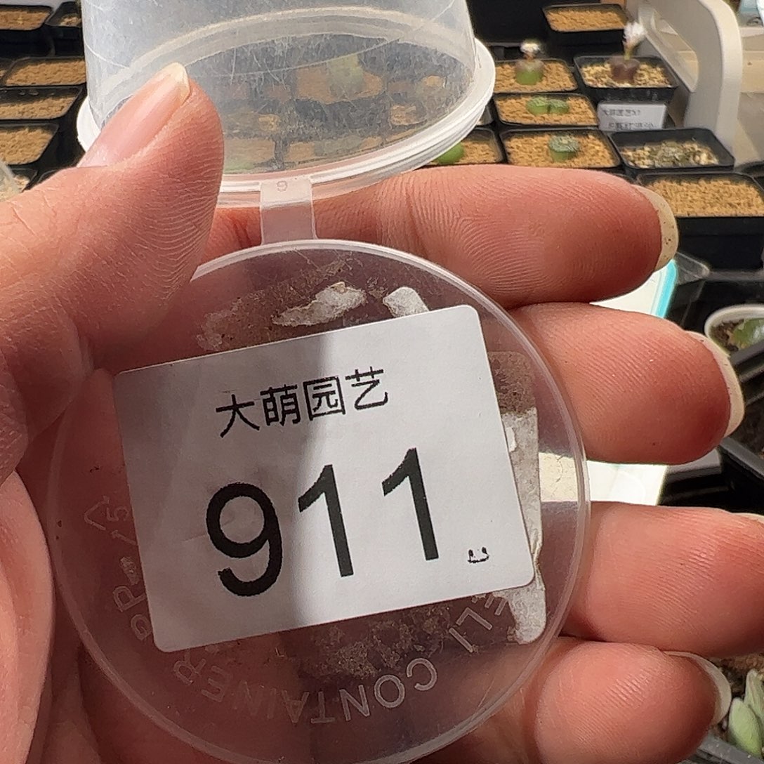 流***瑶一物一拍。     911