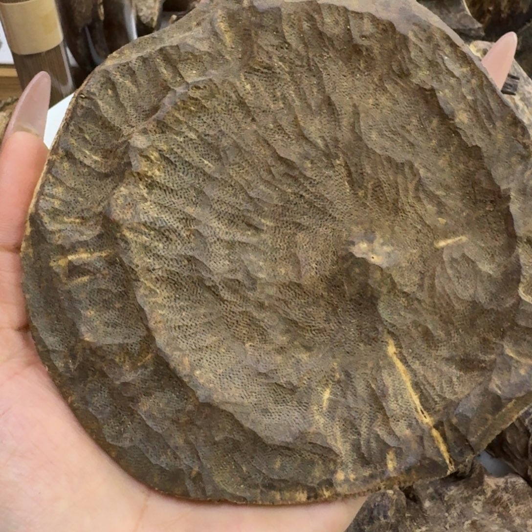 张***飞沉香碎屑沉香白奇包头48.5克