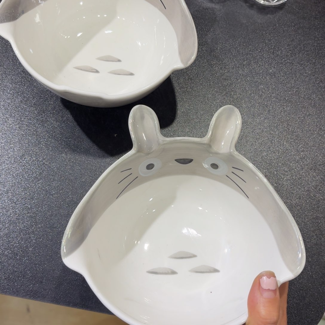 瓷微瑕两个6寸不影响使用