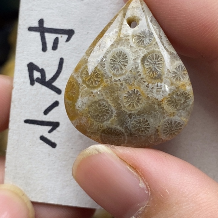 硅化珊瑚（珊瑚玉）未镶嵌颈饰