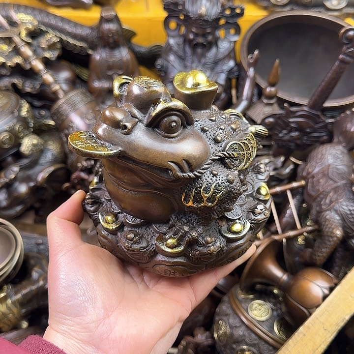 我要看电影的节奏吗