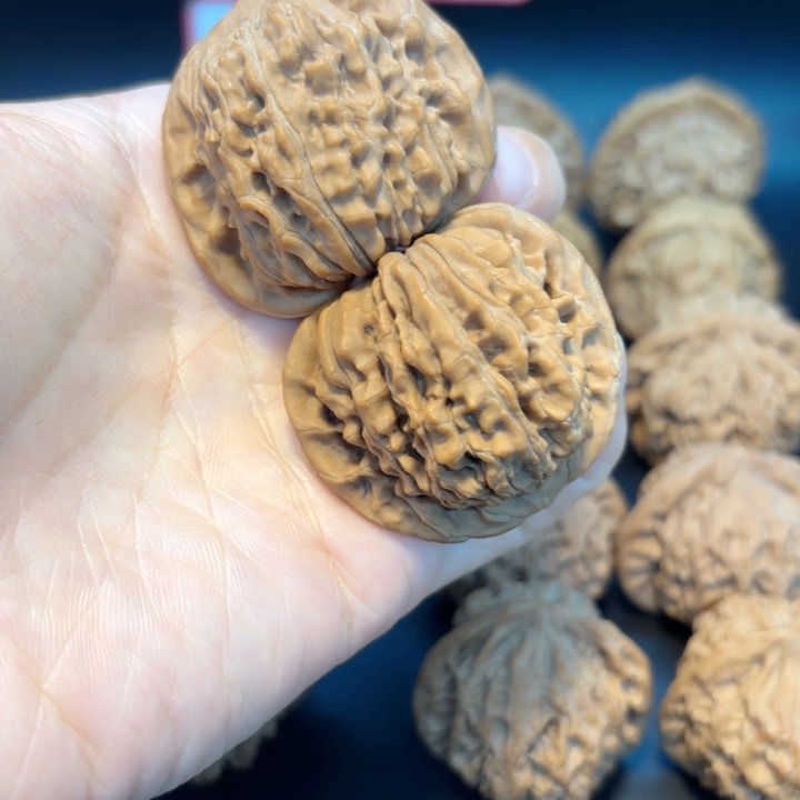 42四座楼全品无修全品无修全品