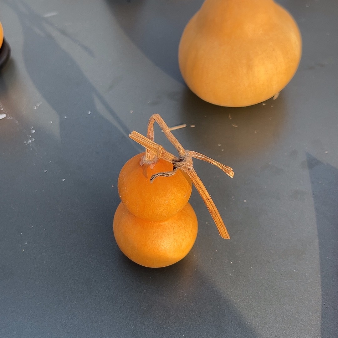 皓***️17888888888888555