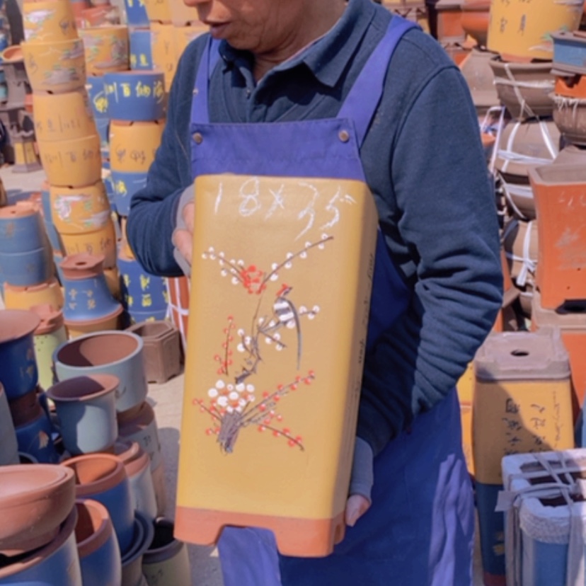 【闪购商品】紫砂花盆中自然