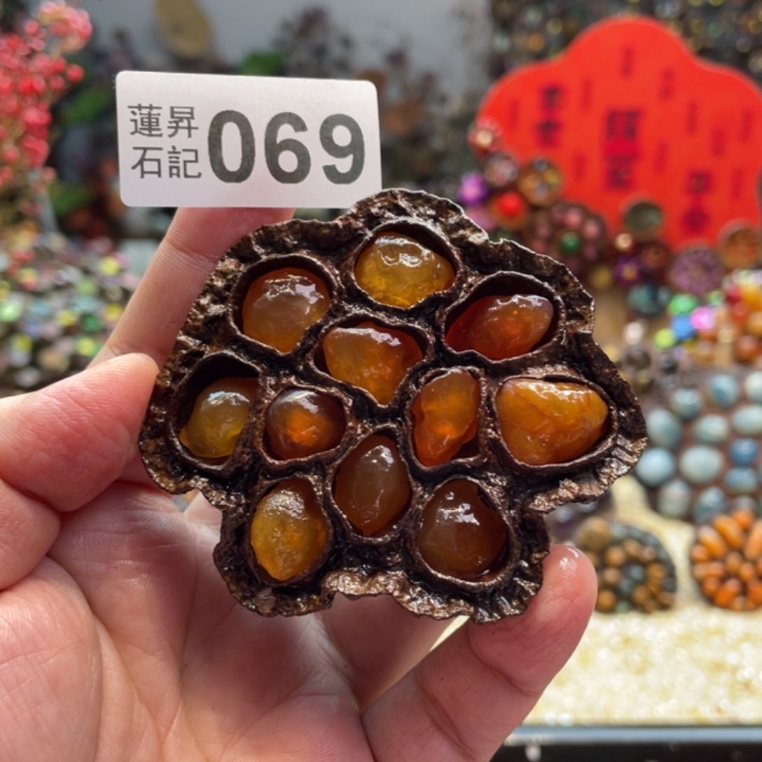 核桃木/黑胡桃（胡桃木）?****²069