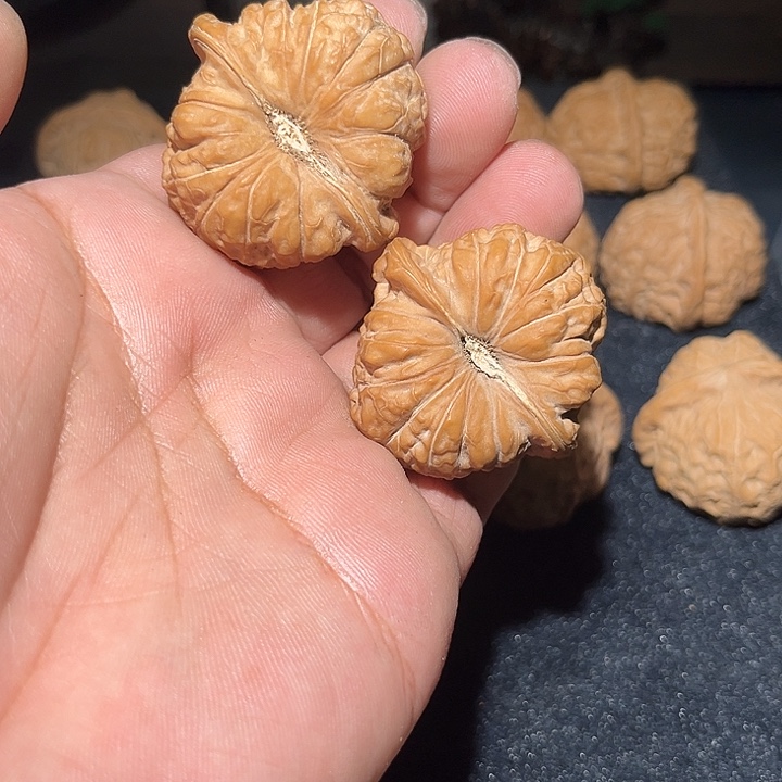 木44精品南瓜敦。  