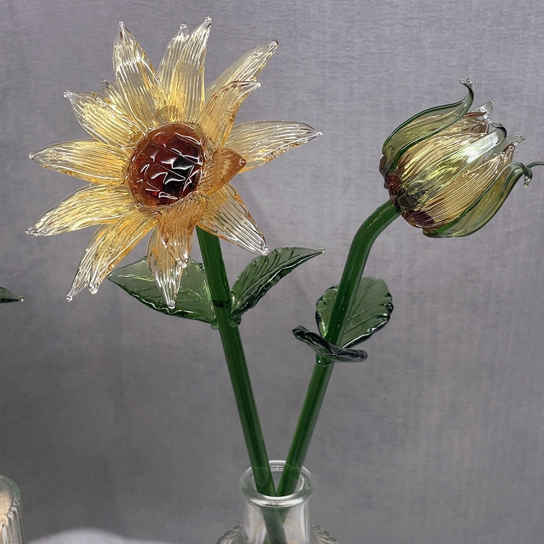 茶宠这样一看我也不想让他知道