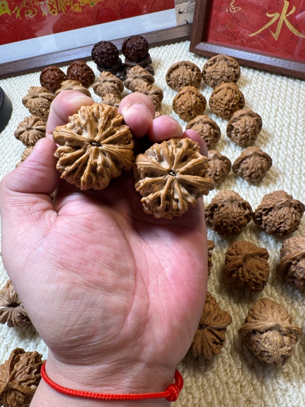 核桃暴雪全品 边42 肚45 高42