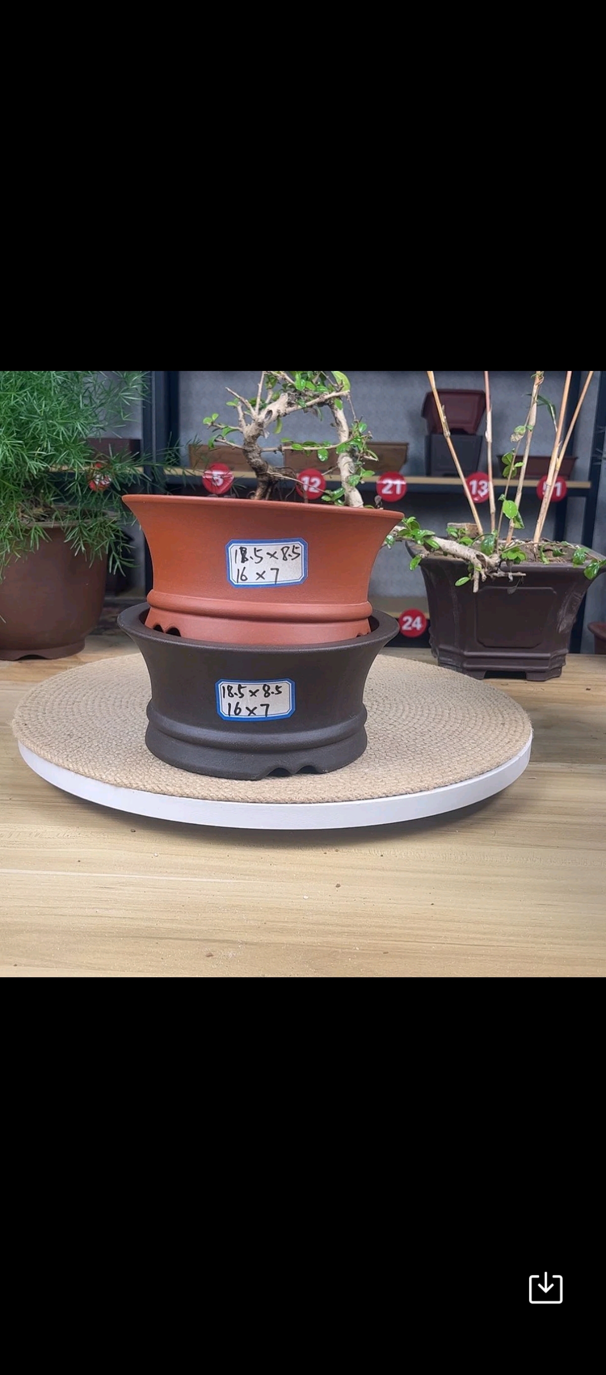 宜兴紫砂花盆圆形透气桌面绿植盆景盆