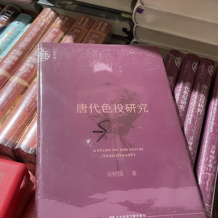 唐代色忆研究：微瑕11